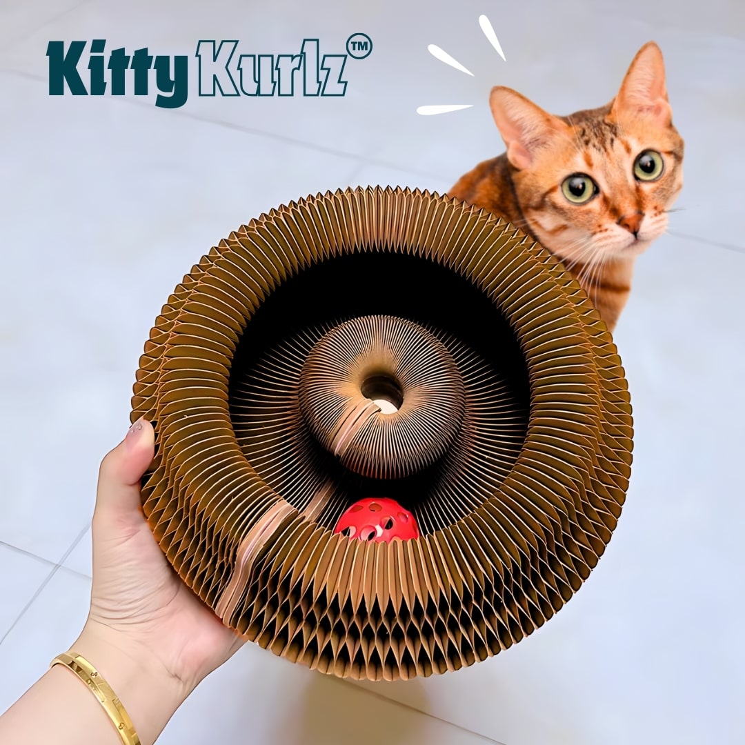 Kitty Kurlz cat toy