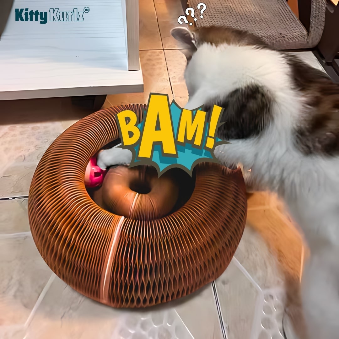 Kitty Kurlz ball track